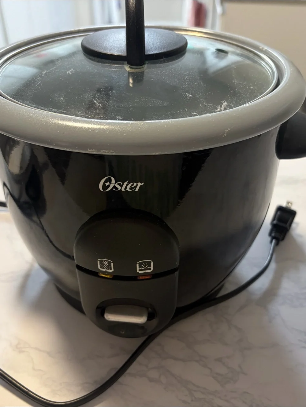 Oster Black Rice Cooker with Glass Lid and Gray Trim